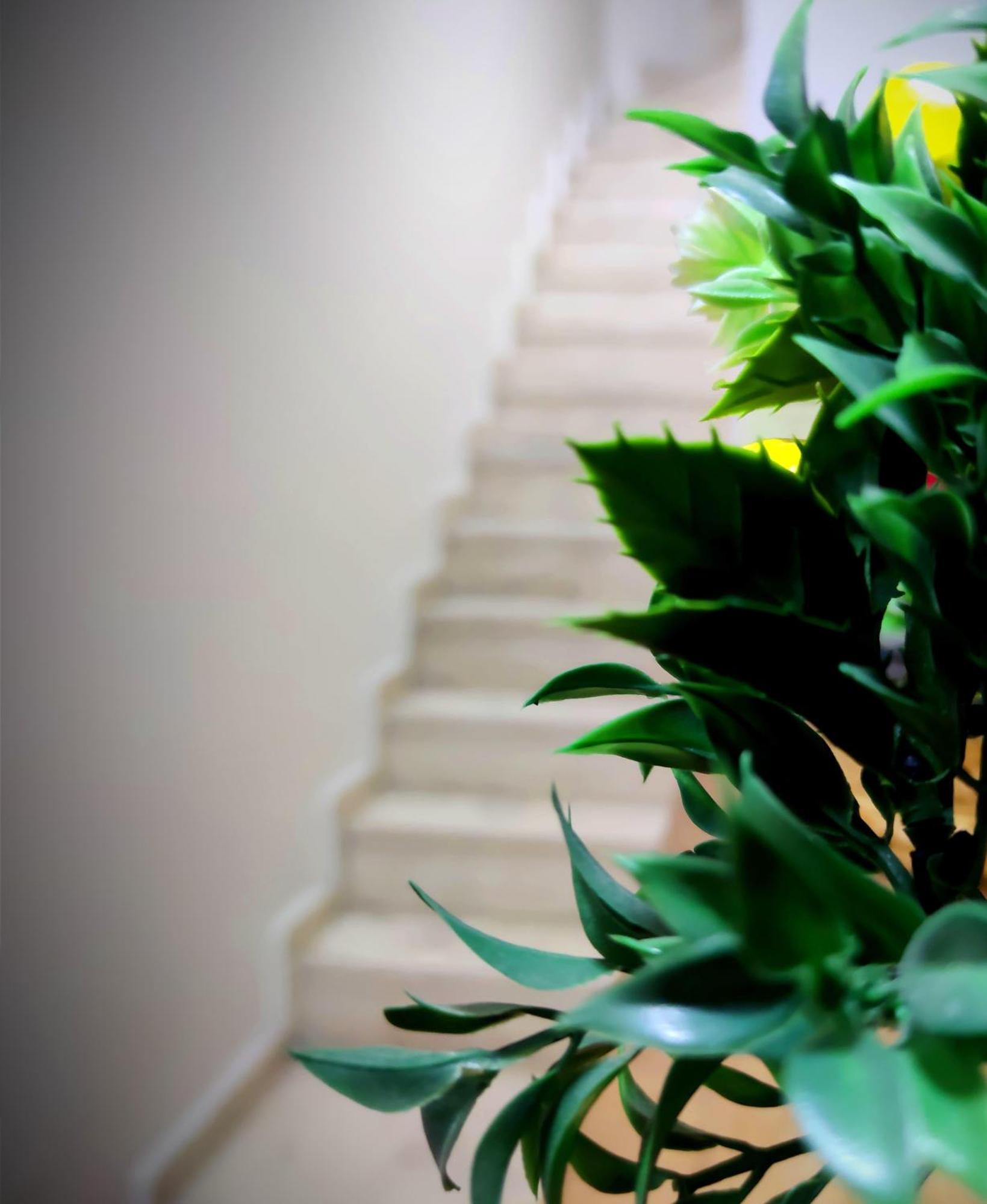 Mimoza Istiklal Apart Hotel Истанбул Стая снимка